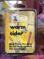 Warm Cider Wax Melt Tartlet
