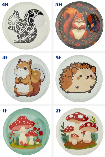 Squirrels & Mushrooms -  2.25" Pinback Buttons & Magnets
